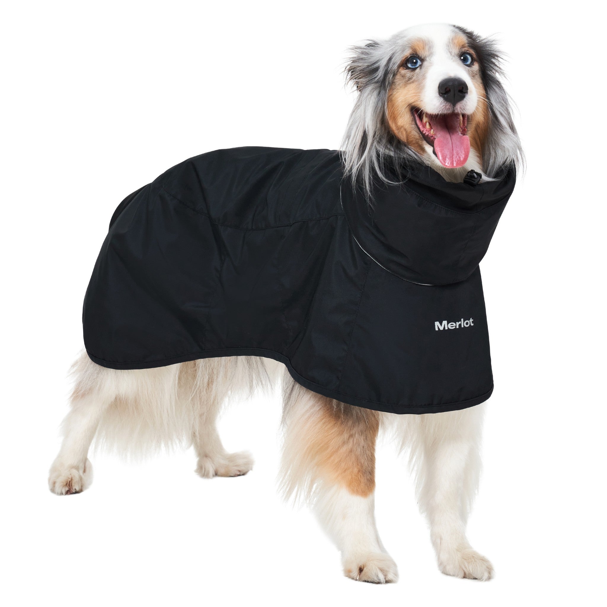 Dog Raincoat - Ain™ Coat Black - Merlot - La Maison Mou
