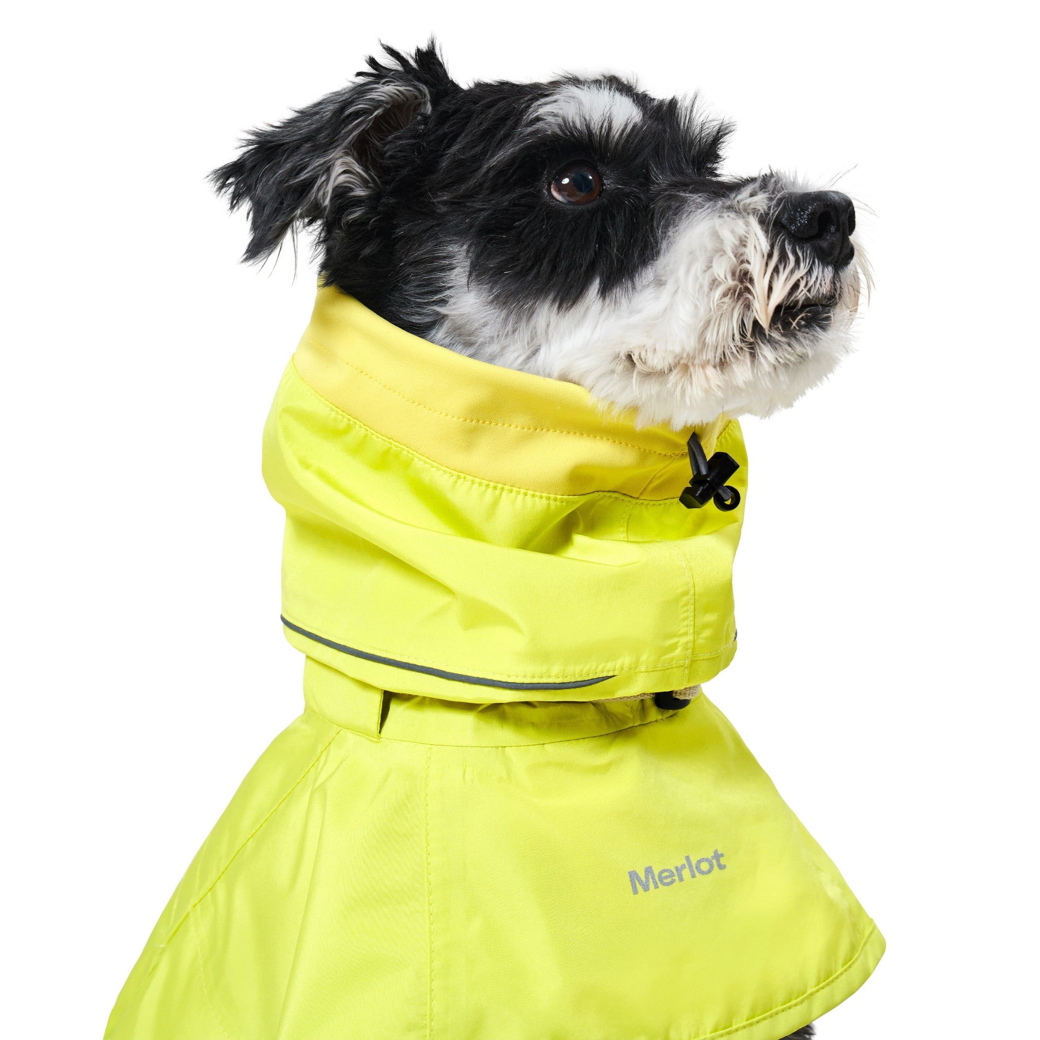 Dog Raincoat - Ain™ Coat Lemon - Merlot - La Maison Mou