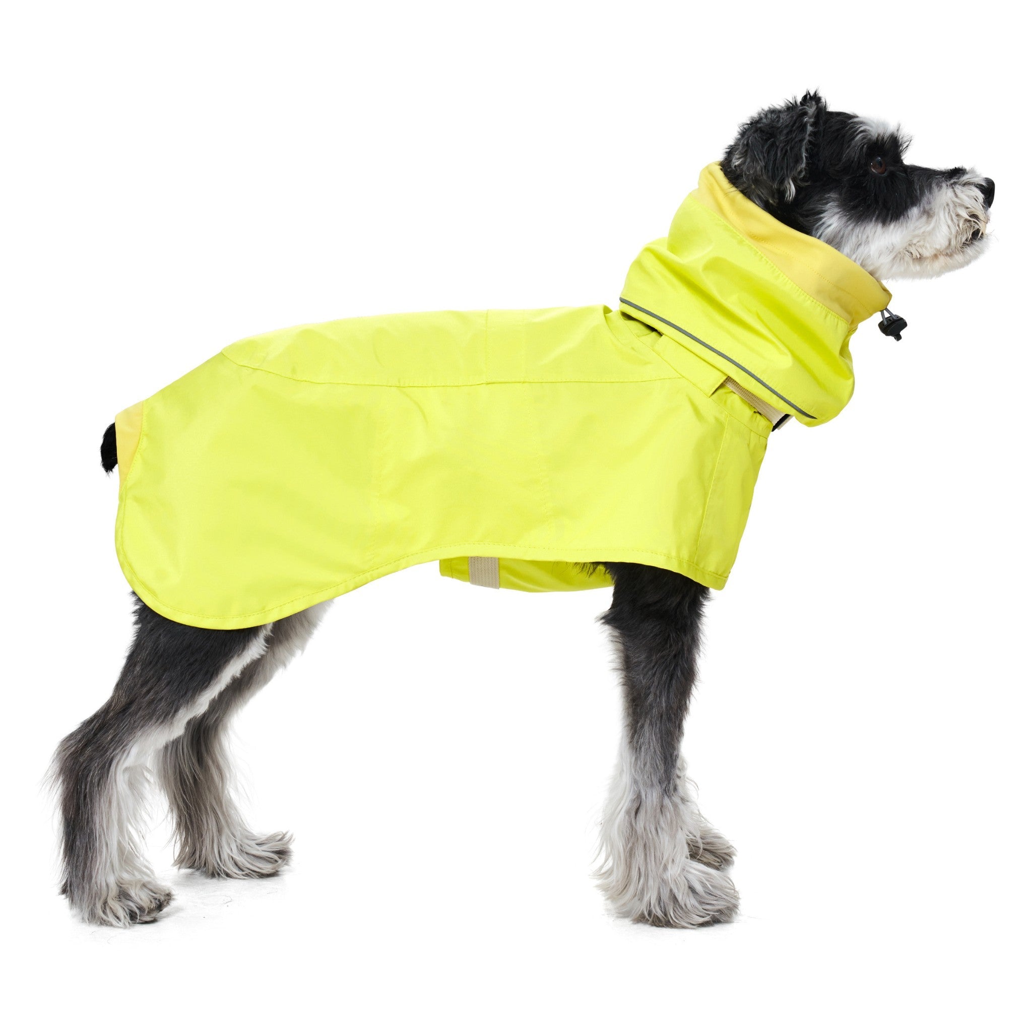 Dog Raincoat - Ain™ Coat Lemon - Merlot - La Maison Mou