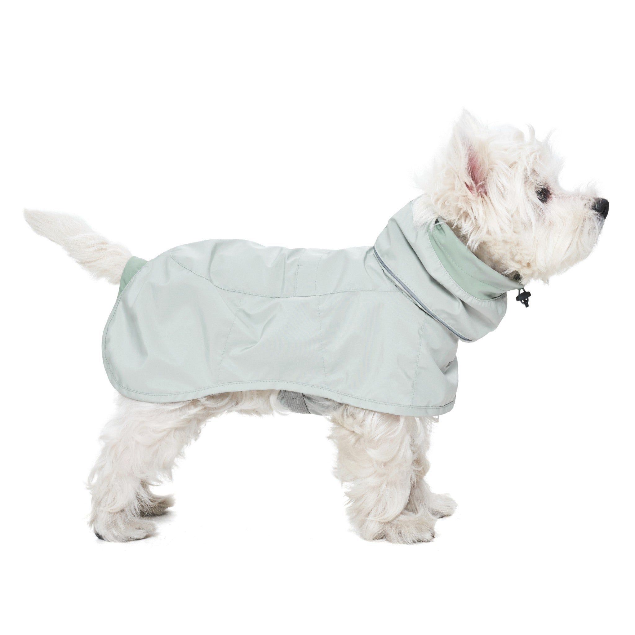 Dog Raincoat - Ain™ Coat Lime Stone - Merlot - La Maison Mou