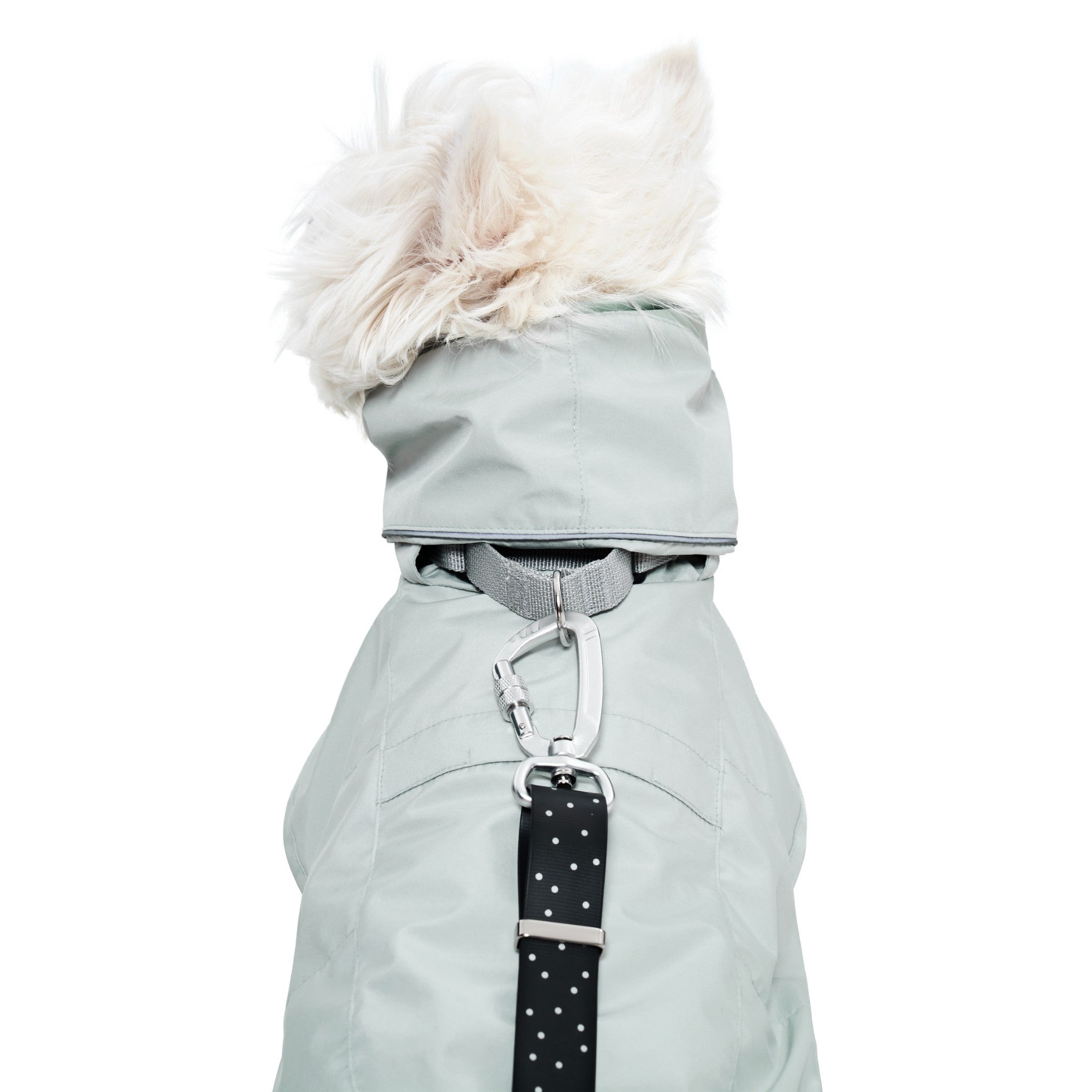 Dog Raincoat - Ain™ Coat Lime Stone - Merlot - La Maison Mou