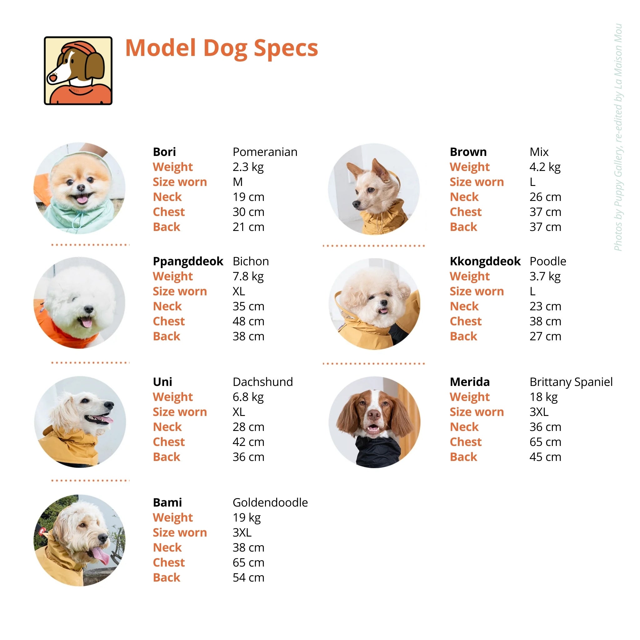 Dog Raincoat – All Weather Water Shield Poncho - Puppy Gallery - La Maison Mou