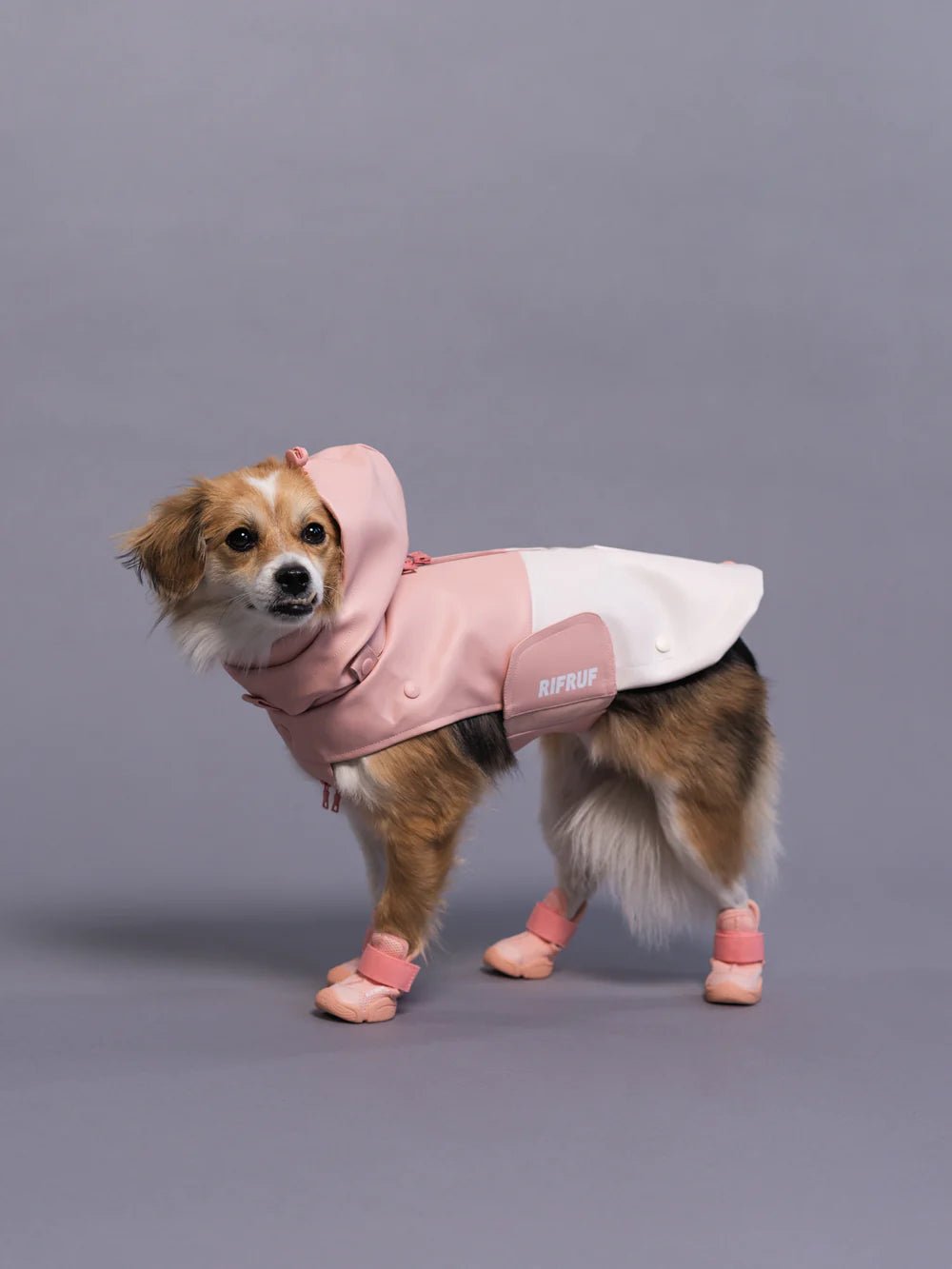 Dog Raincoat - Stormhunter Sakura - Rifruf - La Maison Mou