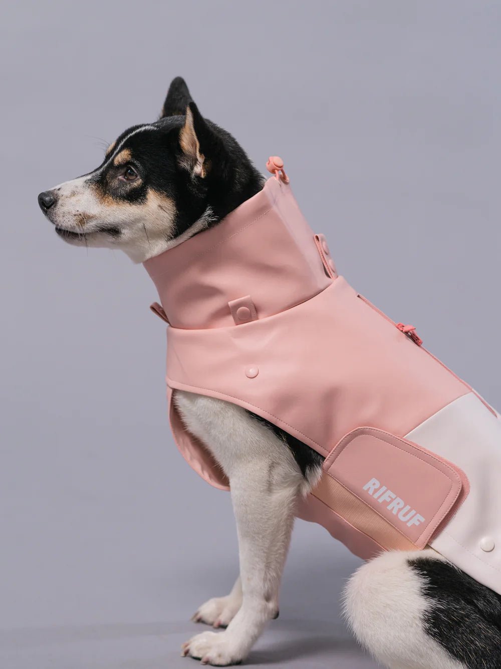 Dog Raincoat - Stormhunter Sakura - Rifruf - La Maison Mou