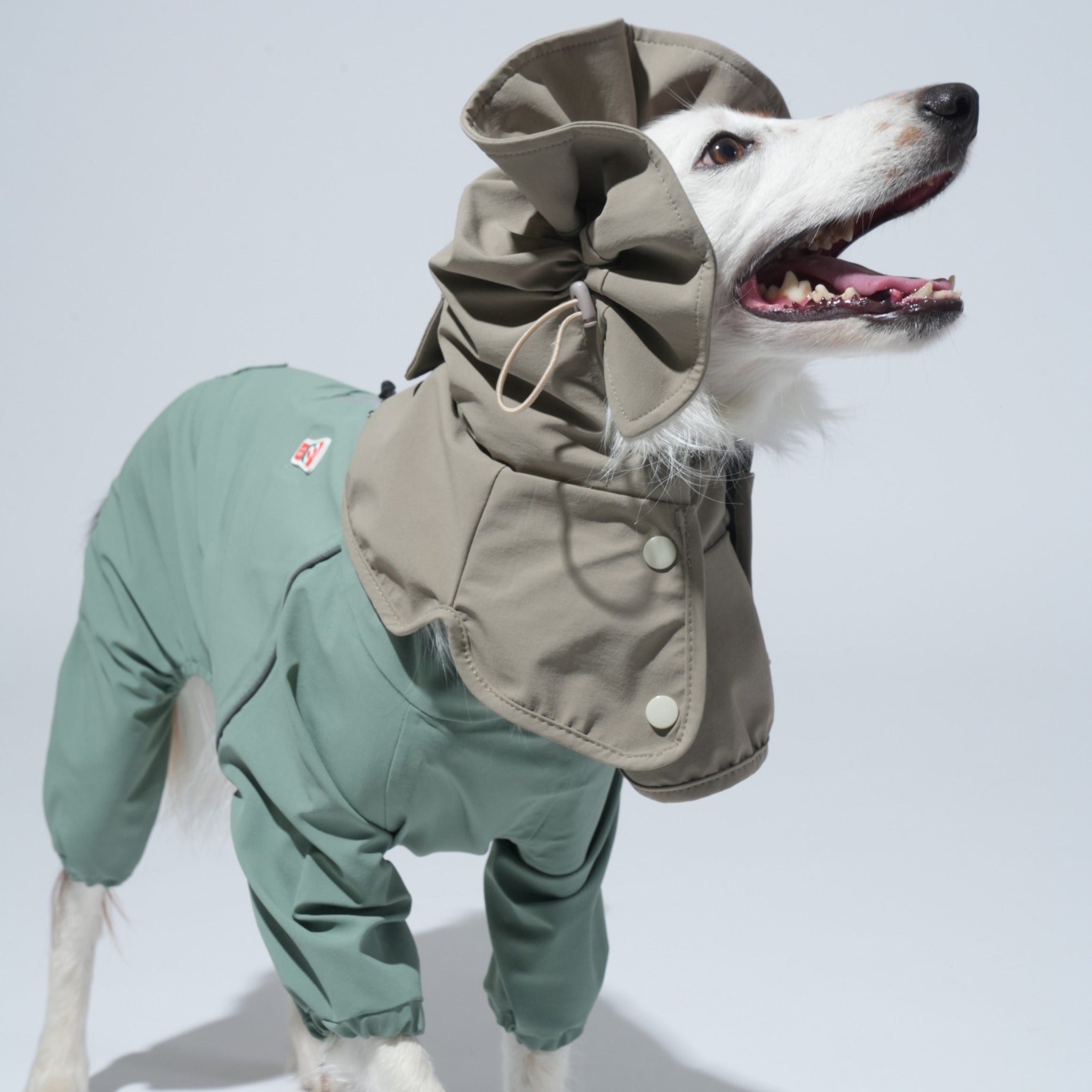 Dog Raincoat – Waterproof Go Pro Rainsuit Khaki - Puppy Gallery - La Maison Mou