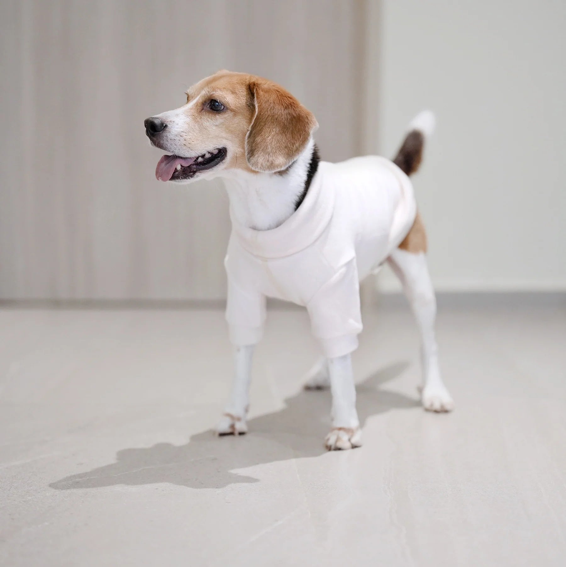 Dog Shirt - Polar Fleece Comfort Fit Cream - Lambwolf Collective - La Maison Mou