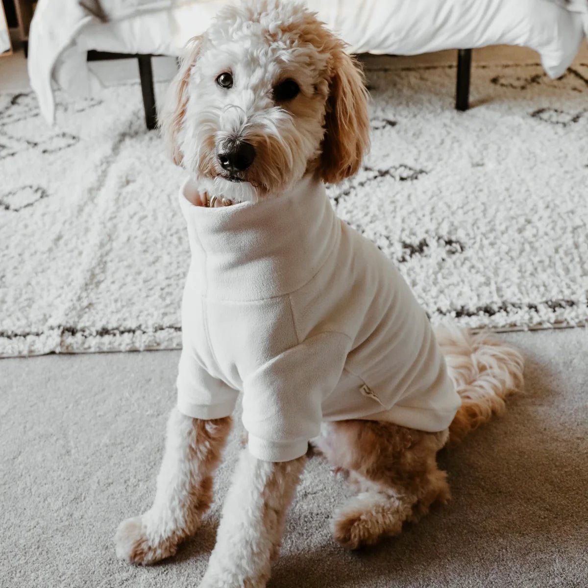 Dog Shirt - Polar Fleece Comfort Fit Cream - Lambwolf Collective - La Maison Mou