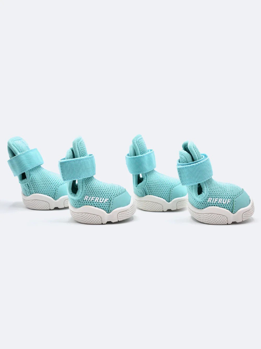 Dog Shoes - Caesar 1 Sneakers Aqua - Rifruf - La Maison Mou