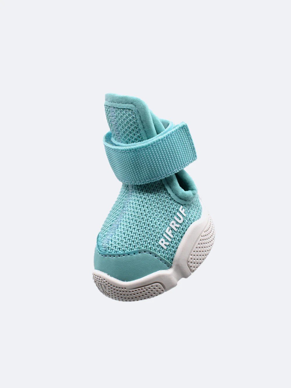 Dog Shoes - Caesar 1 Sneakers Aqua - Rifruf - La Maison Mou