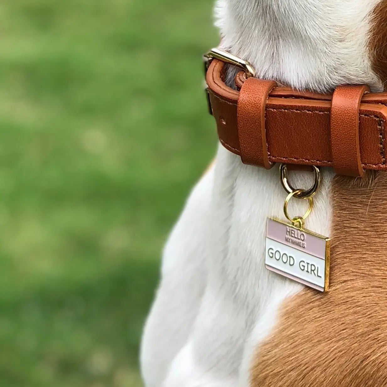 Dog Tag - Good Girl - Two Tails - La Maison Mou