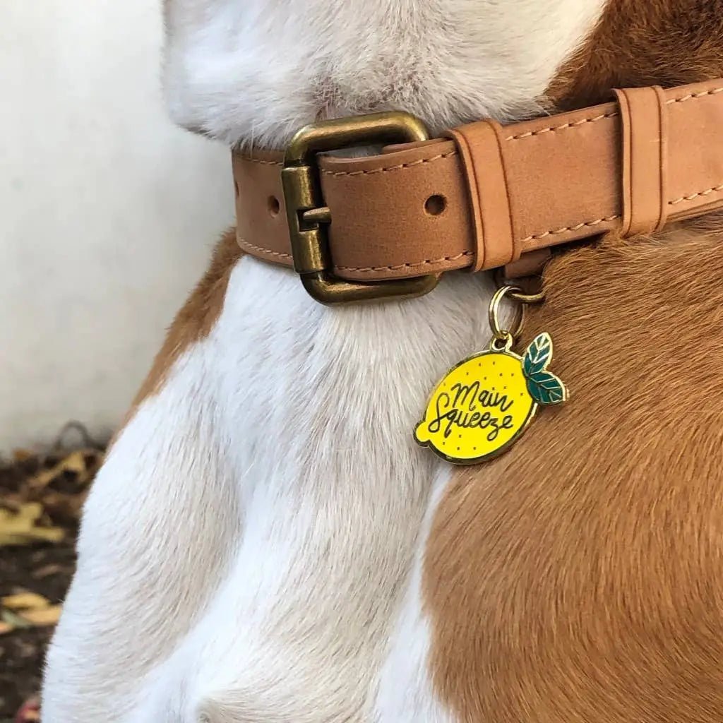 Dog Tag - Main Squeeze - Two Tails - La Maison Mou