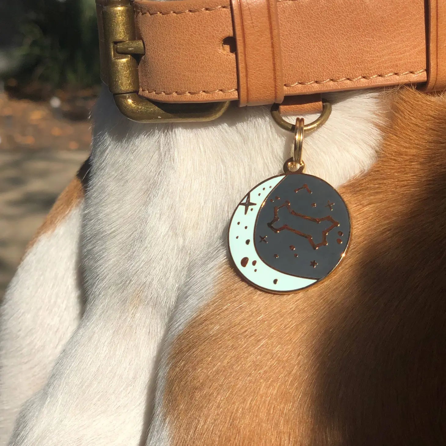 Dog Tag - Zodiac - Two Tails - La Maison Mou