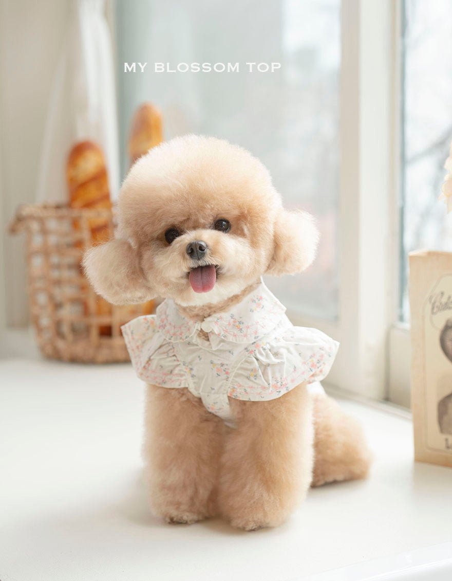 Dog Top - My Blossom Top White - Opaaap - La Maison Mou