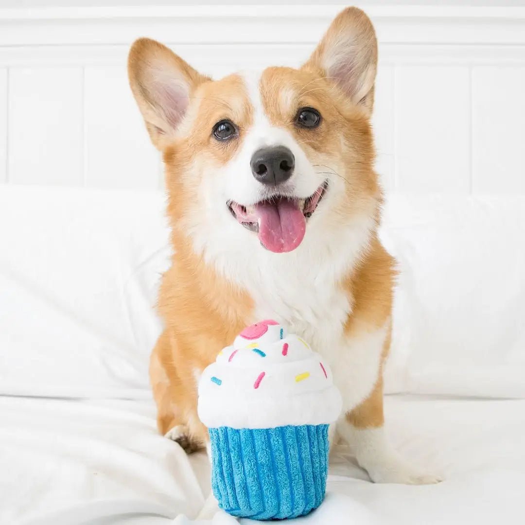 Dog Toy - Cupcake Blue - ZippyPaws - La Maison Mou