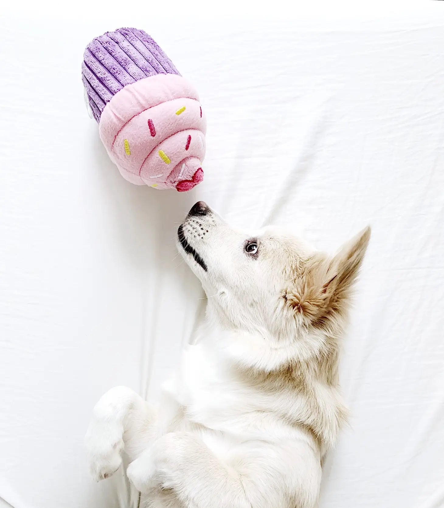 Dog Toy - Cupcake Pink - ZippyPaws - La Maison Mou