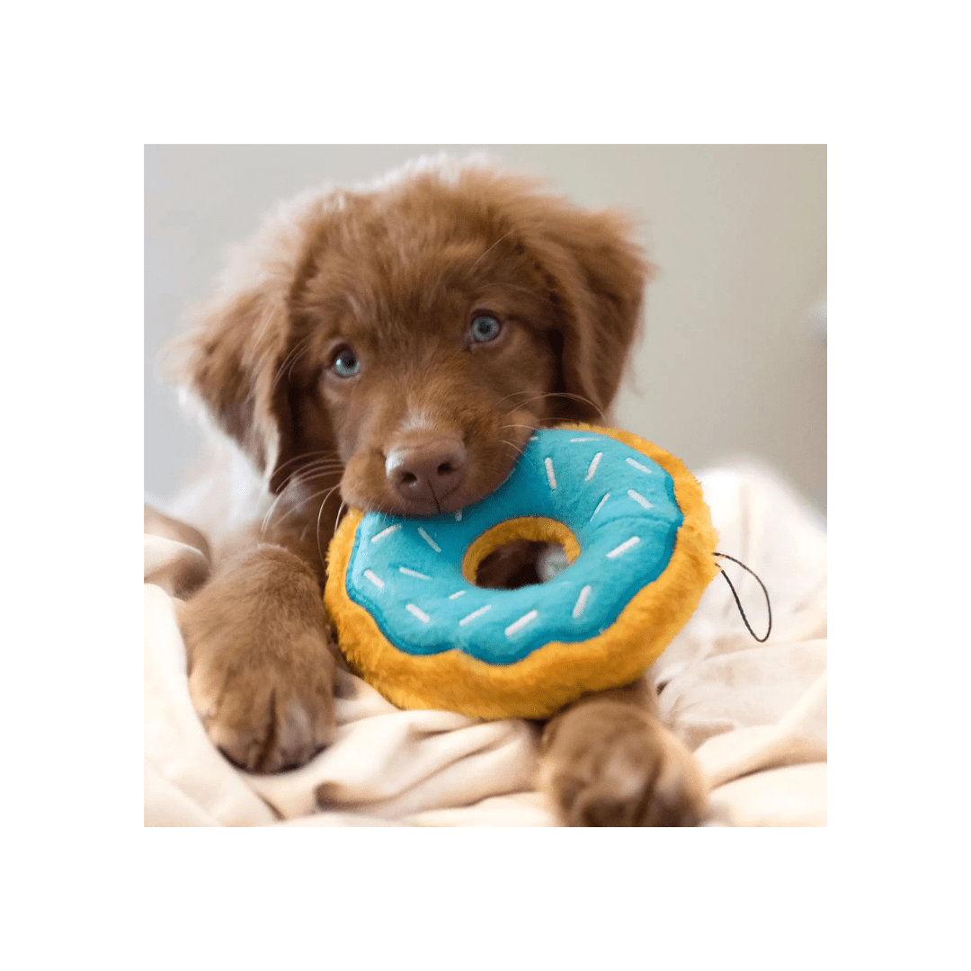 Dog Toy - Donutz Blueberry - ZippyPaws - La Maison Mou