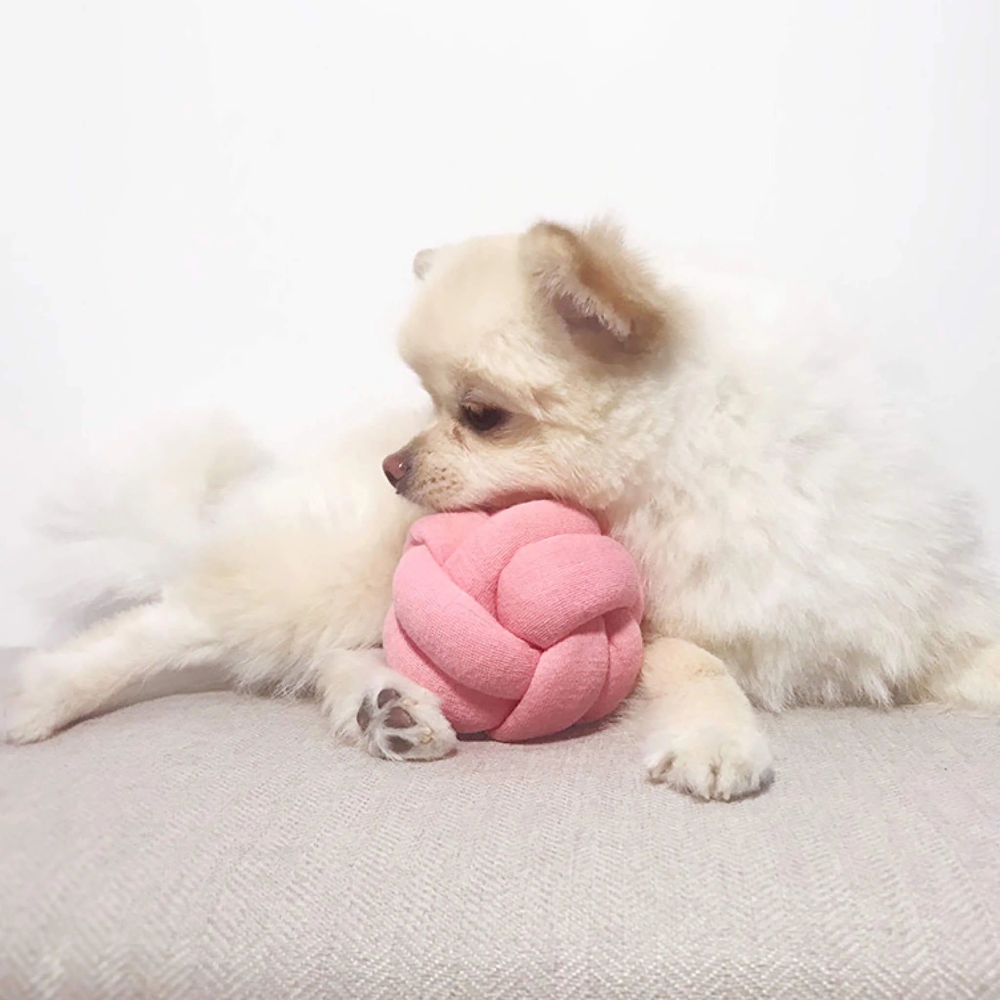 Dog Toy - Knitting Ball Light Pink - Dingdog - La Maison Mou