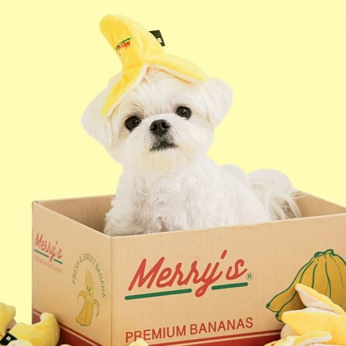 Dog Toy - Merry's Banana - Bite Me - La Maison Mou