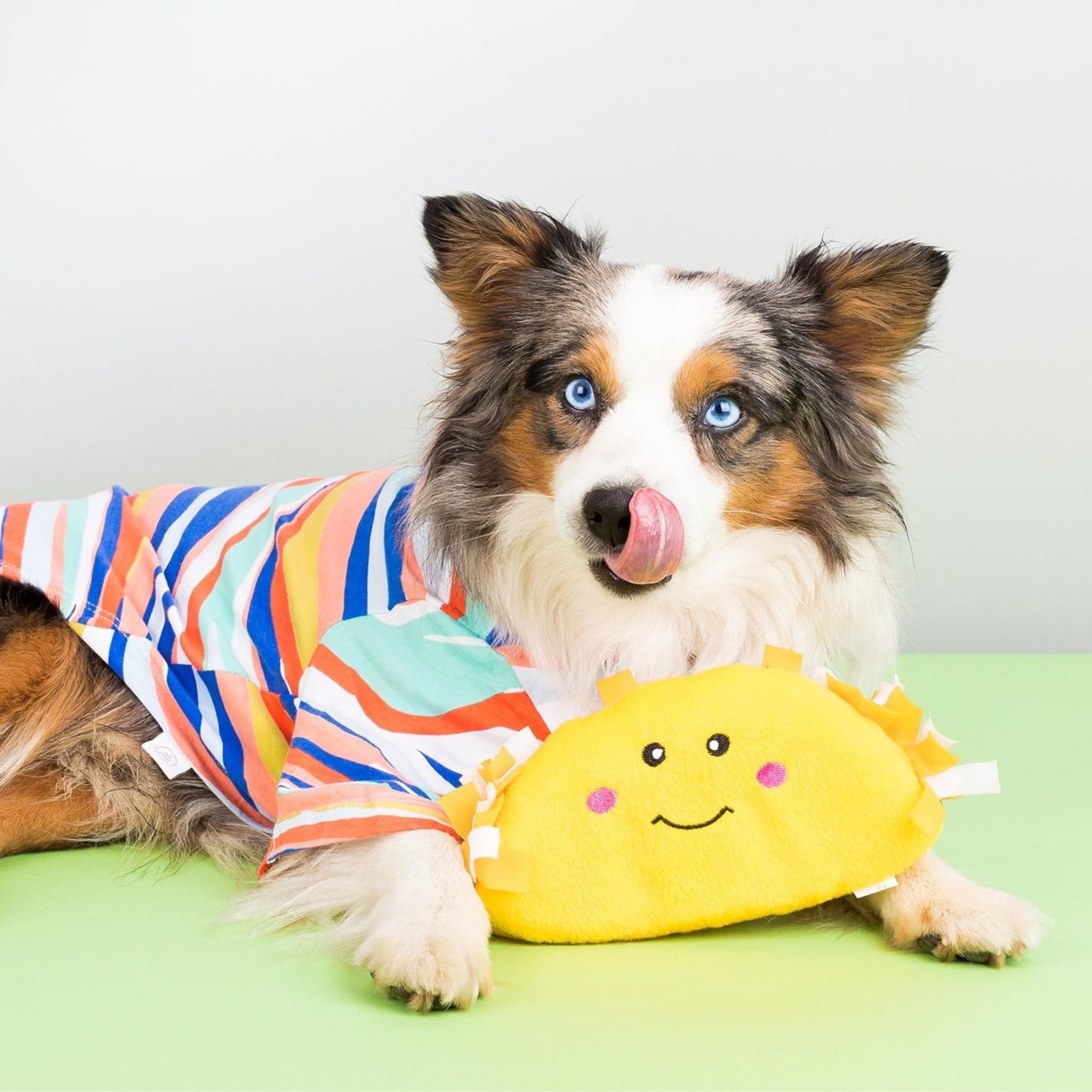 Dog Toy - NomNomz Taco - ZippyPaws - La Maison Mou