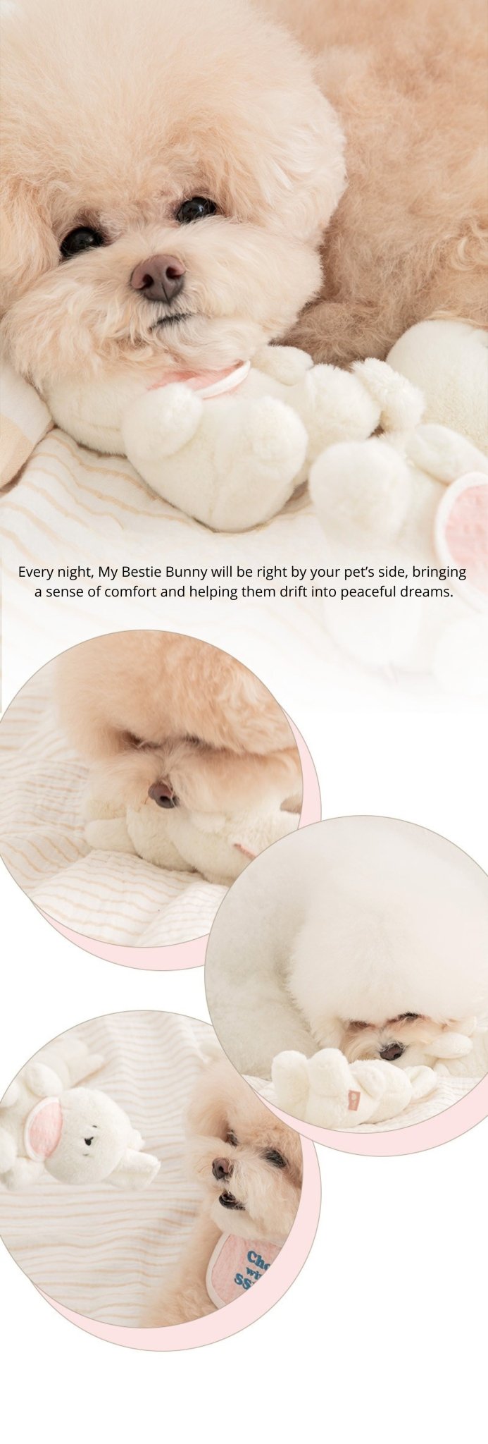 Dog Toy - SSFW My Bestie Bunny - Bite Me - La Maison Mou