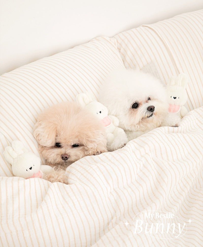 Dog Toy - SSFW My Bestie Bunny - Bite Me - La Maison Mou