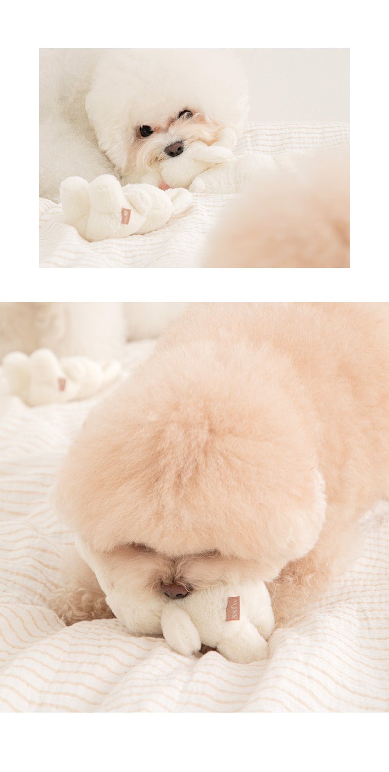 Dog Toy - SSFW My Bestie Bunny - Bite Me - La Maison Mou
