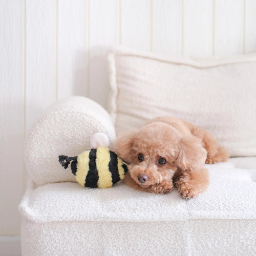 Jouet Interactif Pour Chien – Bee Pop