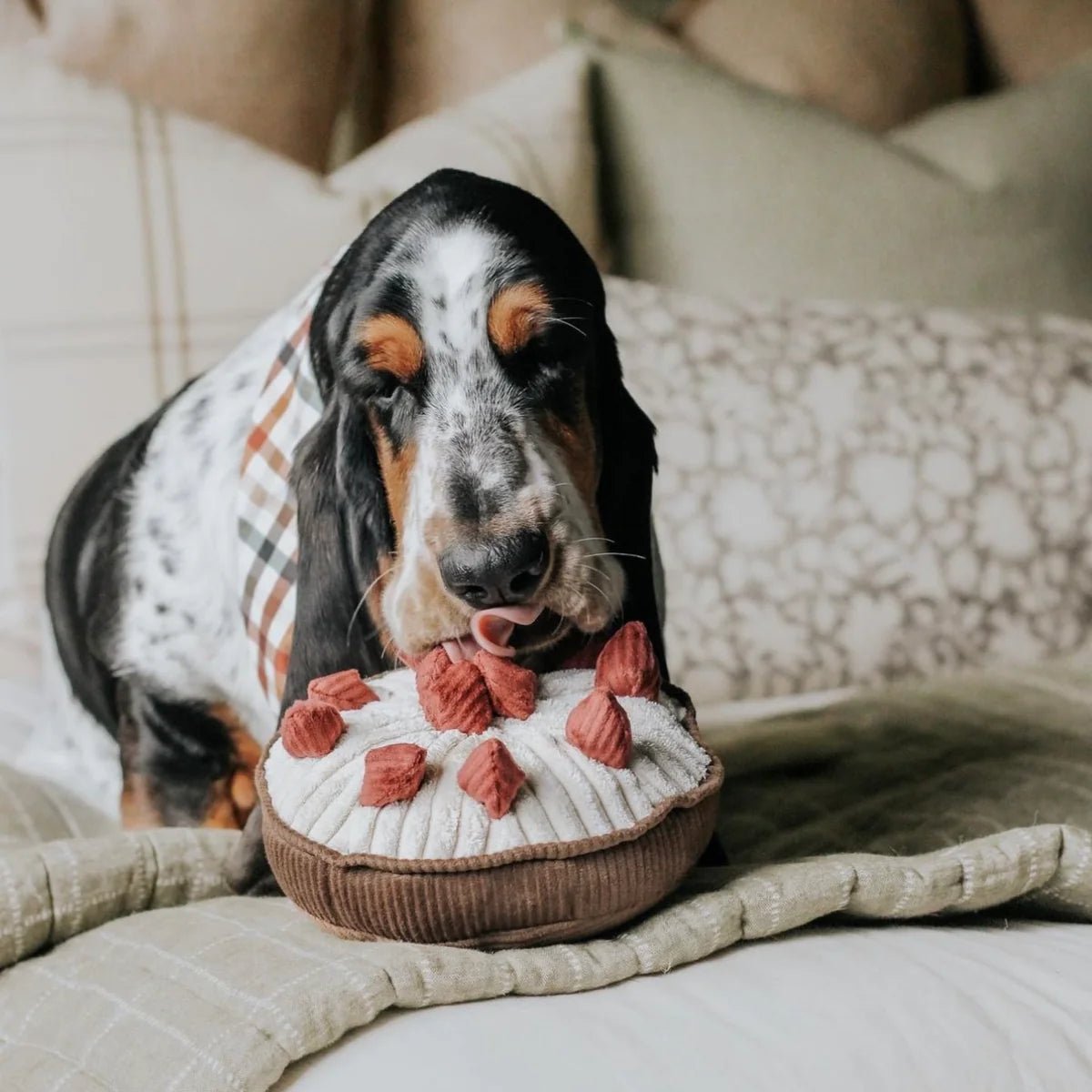 Enrichement Dog Toy - Berry Pie - Lambwolf Collective - La Maison Mou