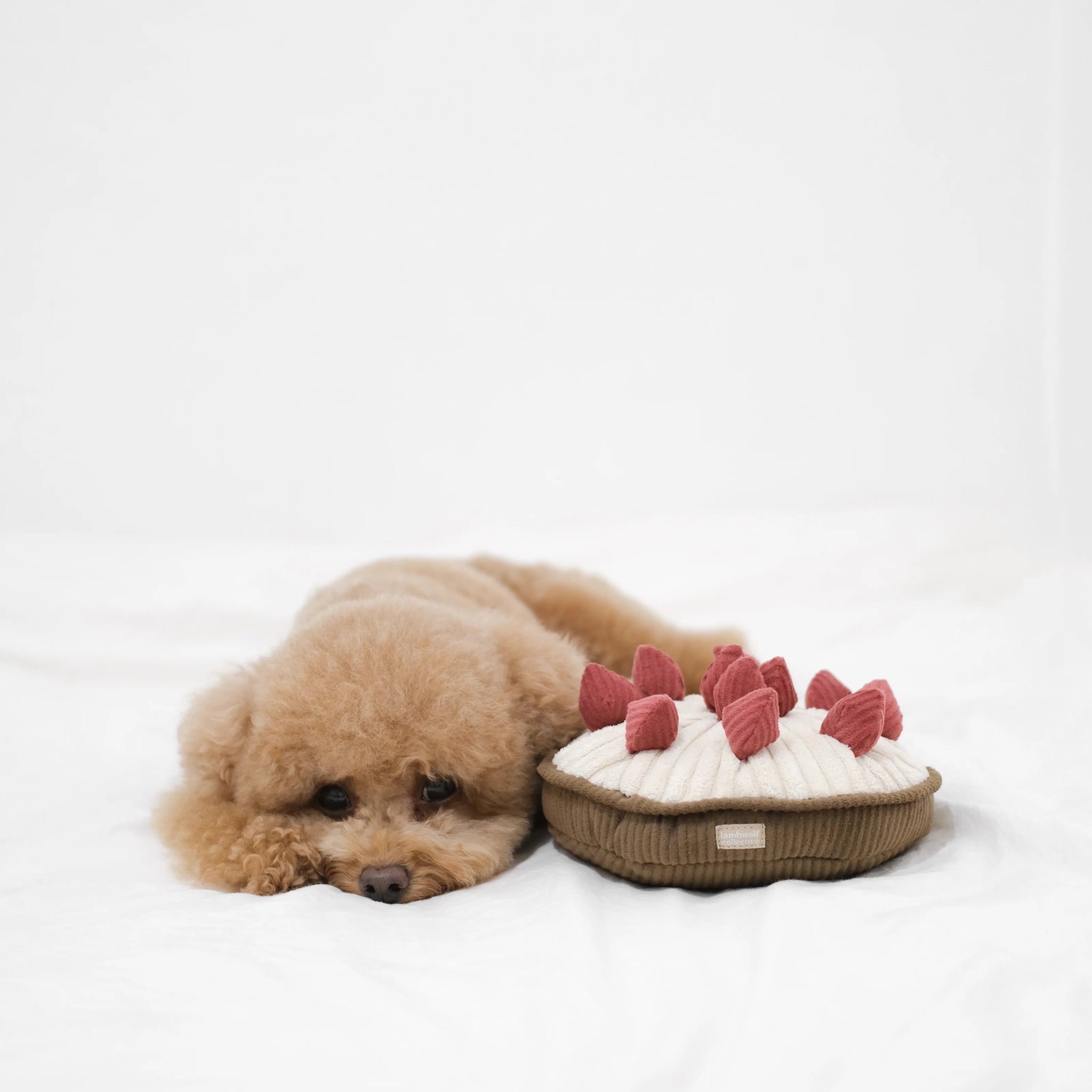 Enrichement Dog Toy - Berry Pie - Lambwolf Collective - La Maison Mou
