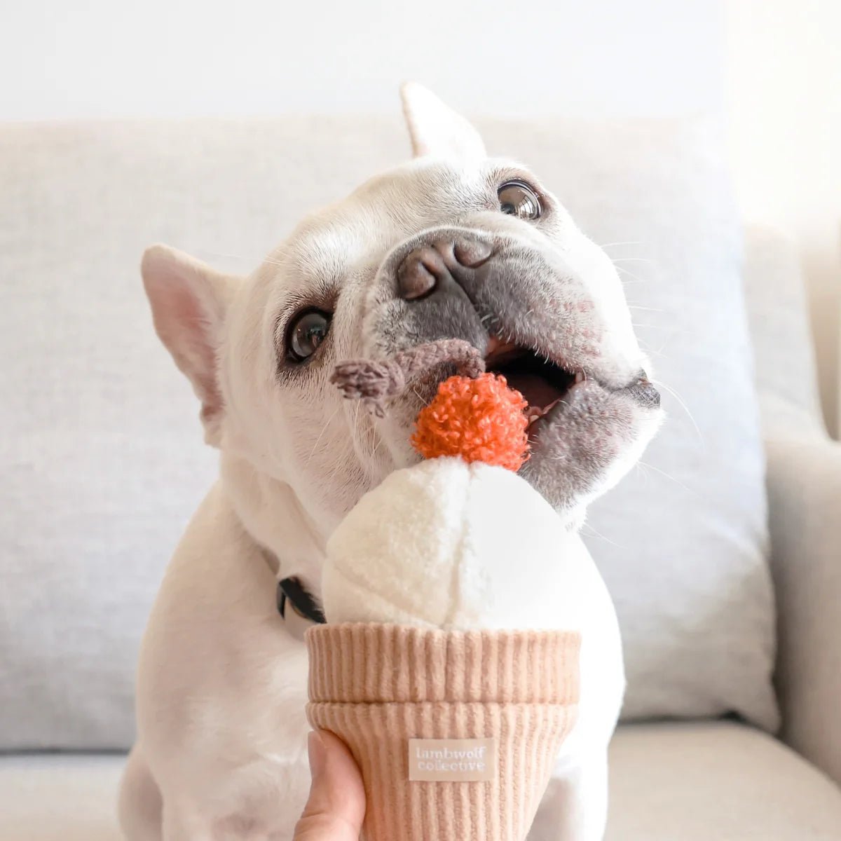 Enrichement Dog Toy - Ice Cream Pop - Lambwolf Collective - La Maison Mou