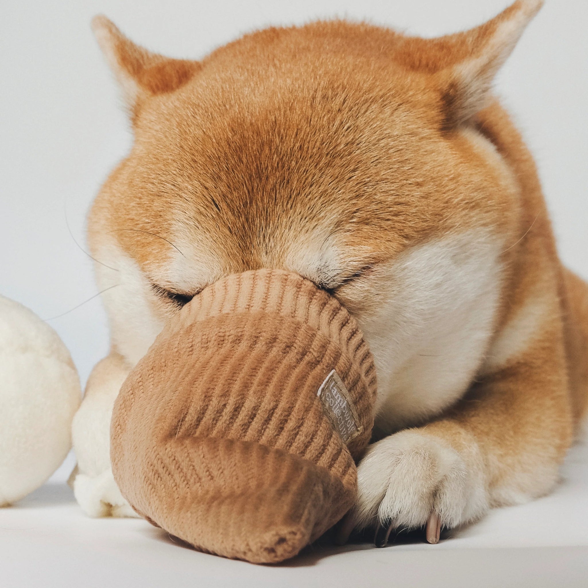 Enrichement Dog Toy - Ice Cream Pop - Lambwolf Collective - La Maison Mou