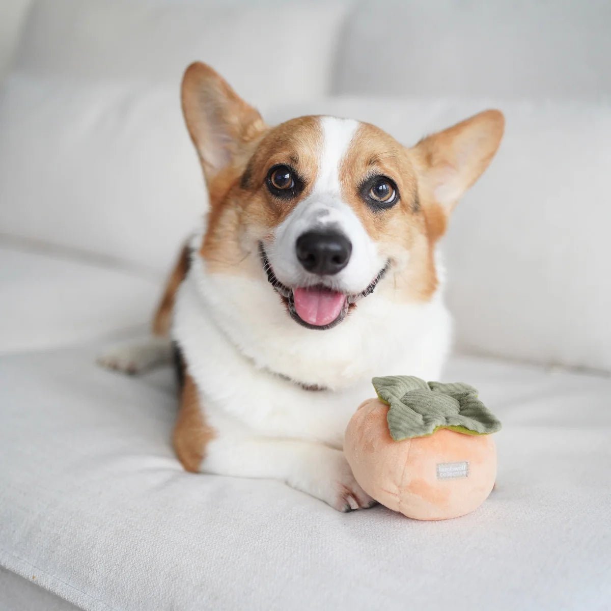 Enrichement Dog Toy - Persimmon - Lambwolf Collective - La Maison Mou