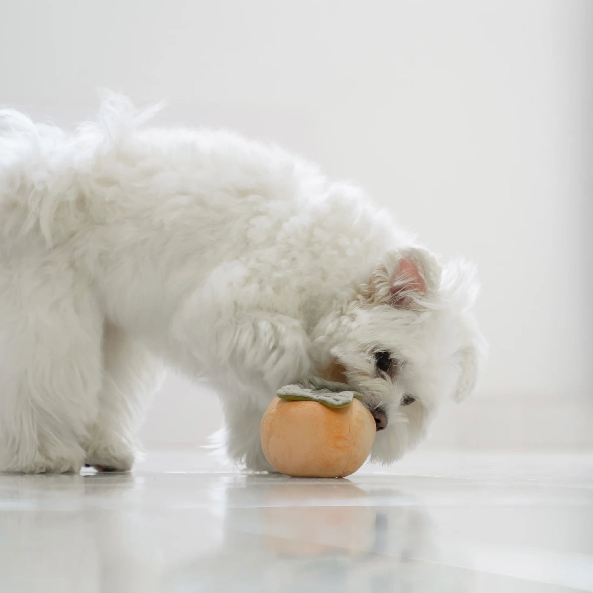 Enrichement Dog Toy - Persimmon - Lambwolf Collective - La Maison Mou