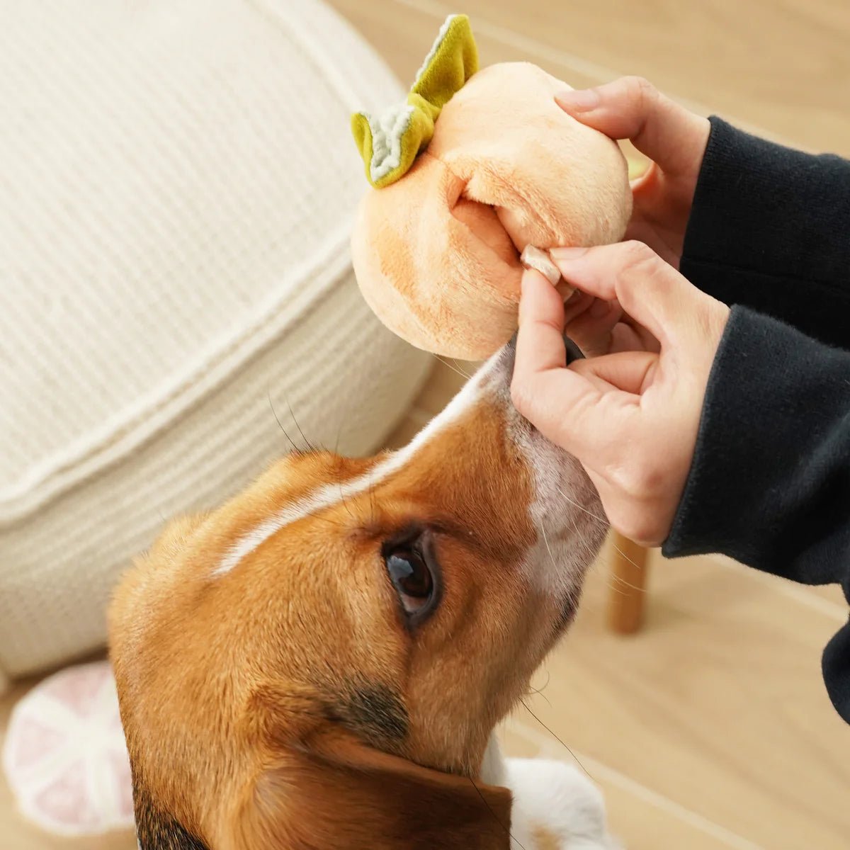 Enrichement Dog Toy - Persimmon - Lambwolf Collective - La Maison Mou