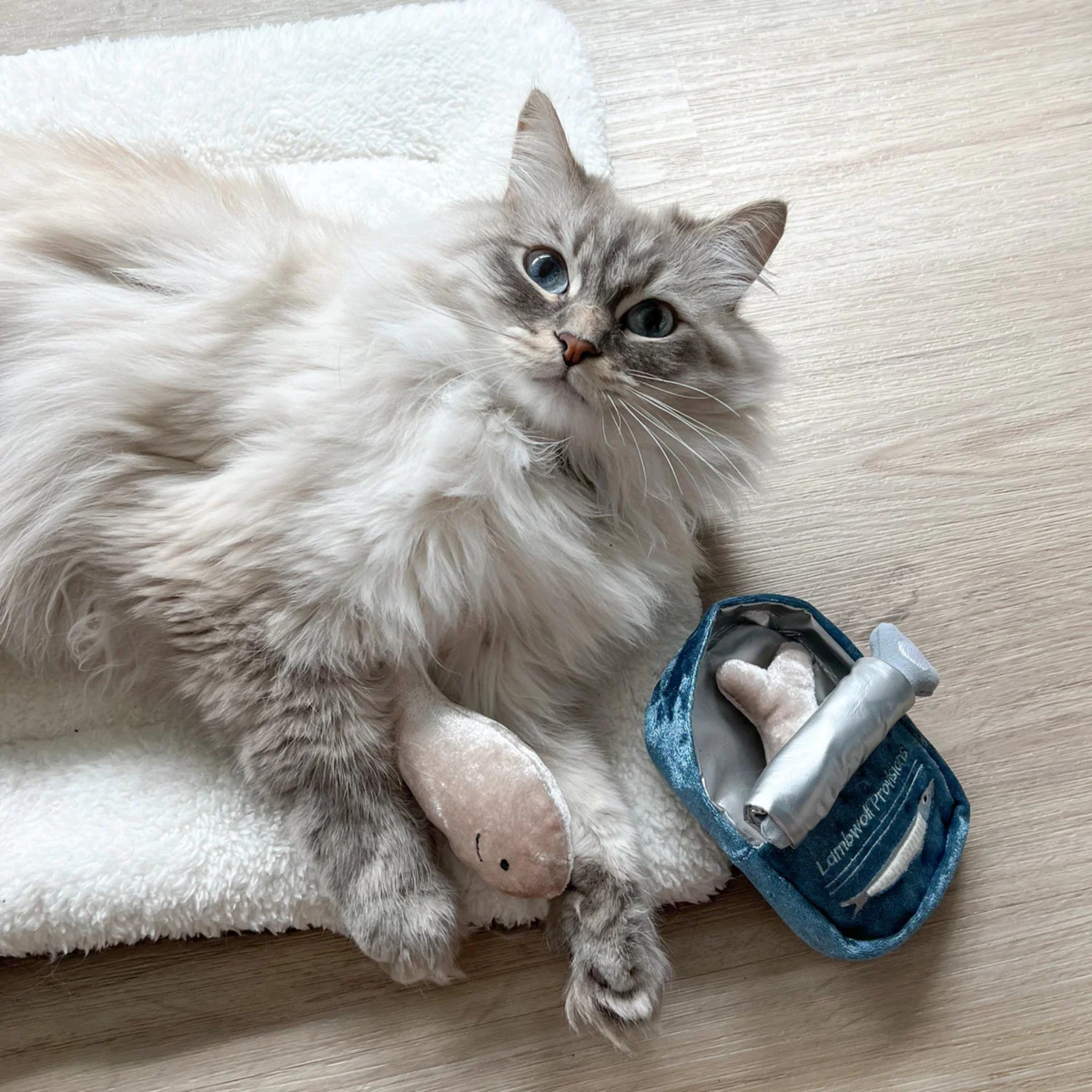 Enrichment Cat Toy - Kitty Sardines - Lambwolf Collective - La Maison Mou