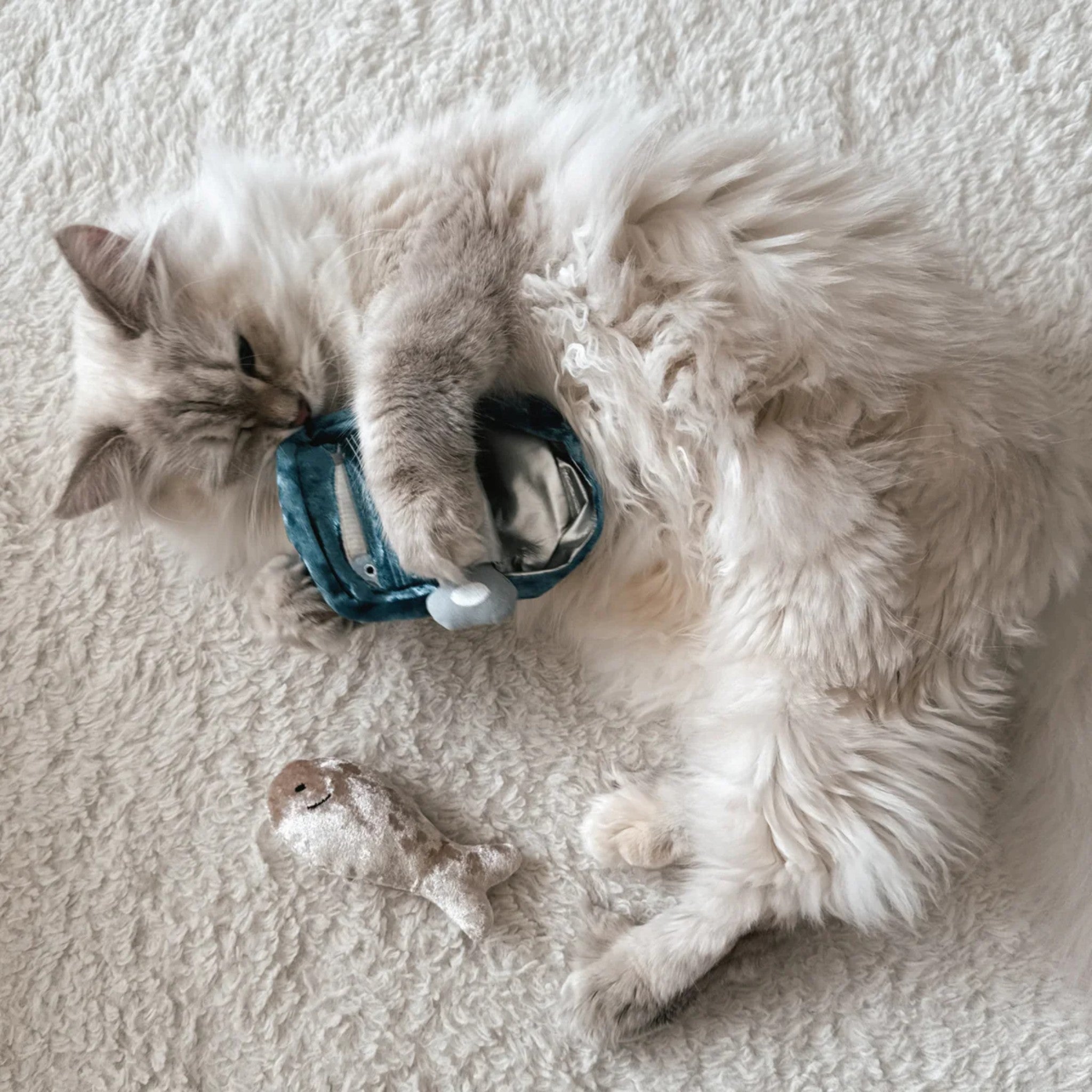 Enrichment Cat Toy - Kitty Sardines - Lambwolf Collective - La Maison Mou