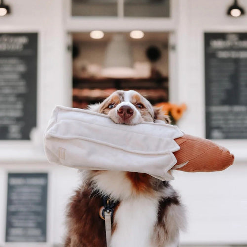 Jouet Interactif Pour Chien – Baguette