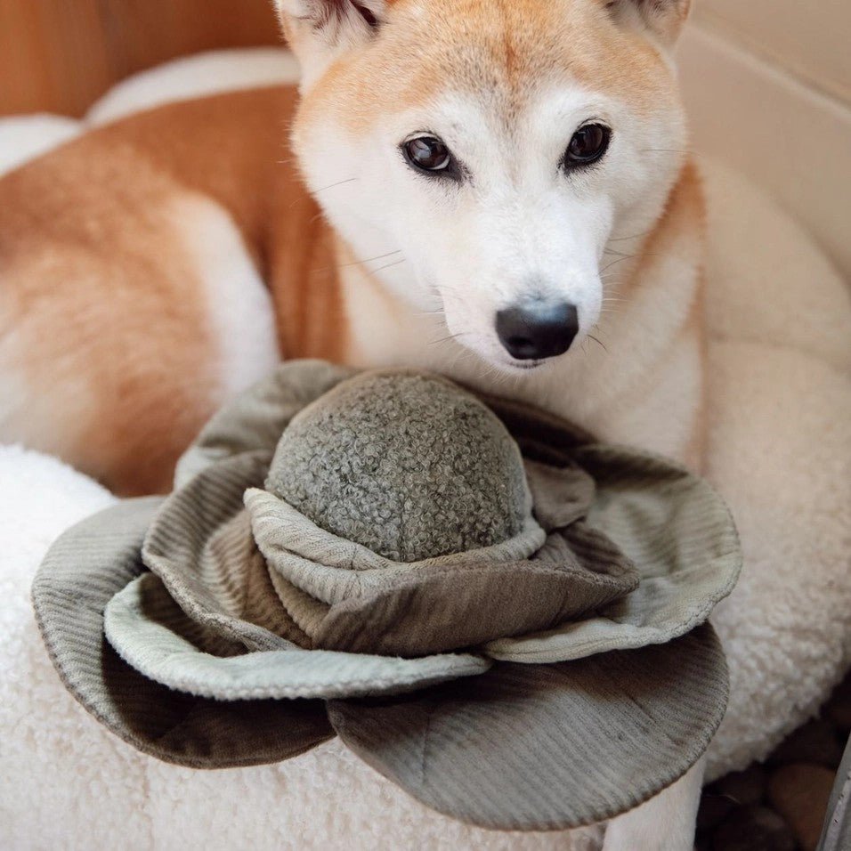 Enrichment Dog Toy - Cabbage Pop - Lambwolf Collective - La Maison Mou