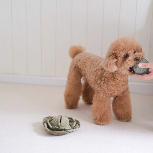 Jouet Interactif Pour Chien – Chou Pop