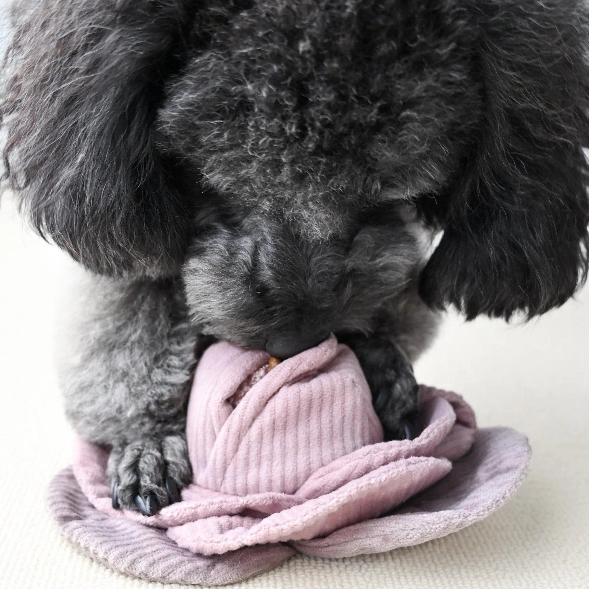 Enrichment Dog Toy - Cabbage Pop Red - Lambwolf Collective - La Maison Mou