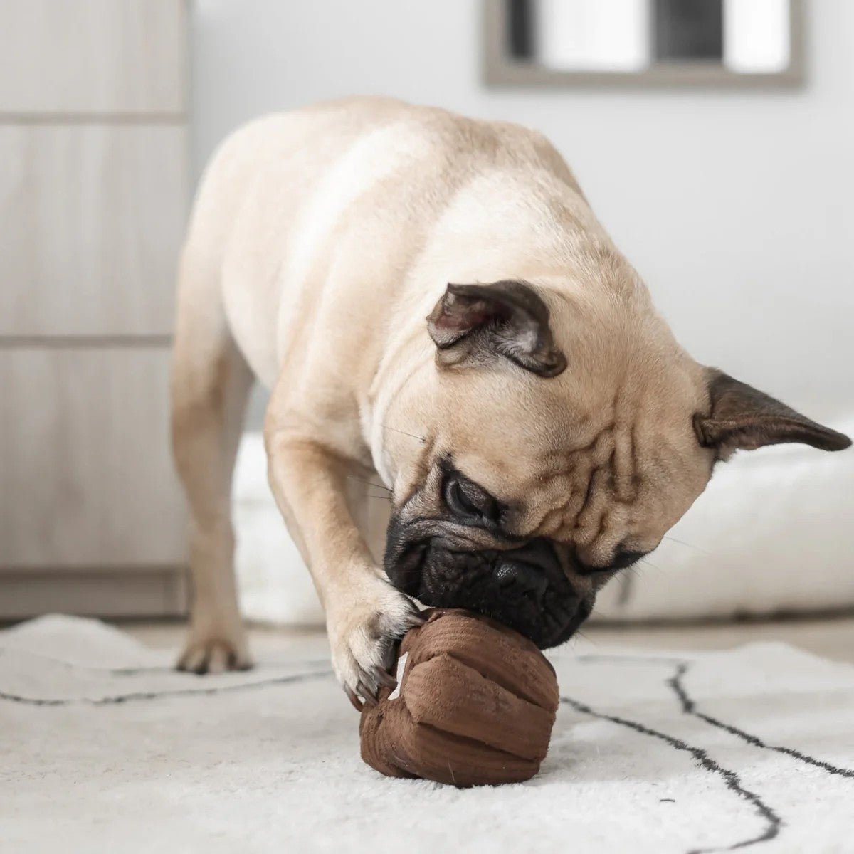 Enrichment Dog Toy - Canele - Lambwolf Collective - La Maison Mou