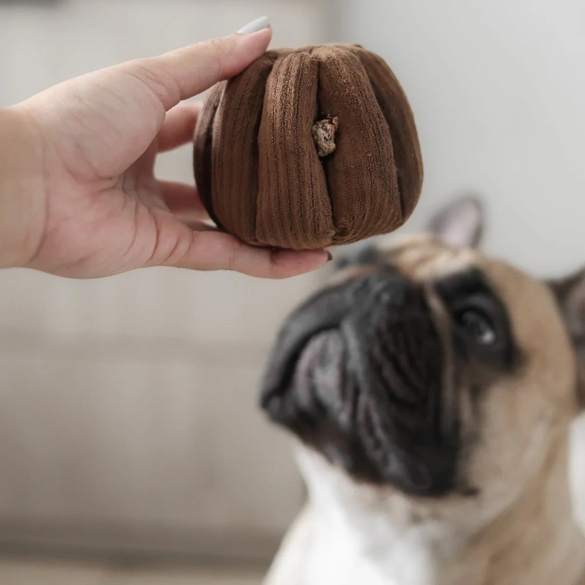 Enrichment Dog Toy - Canele - Lambwolf Collective - La Maison Mou