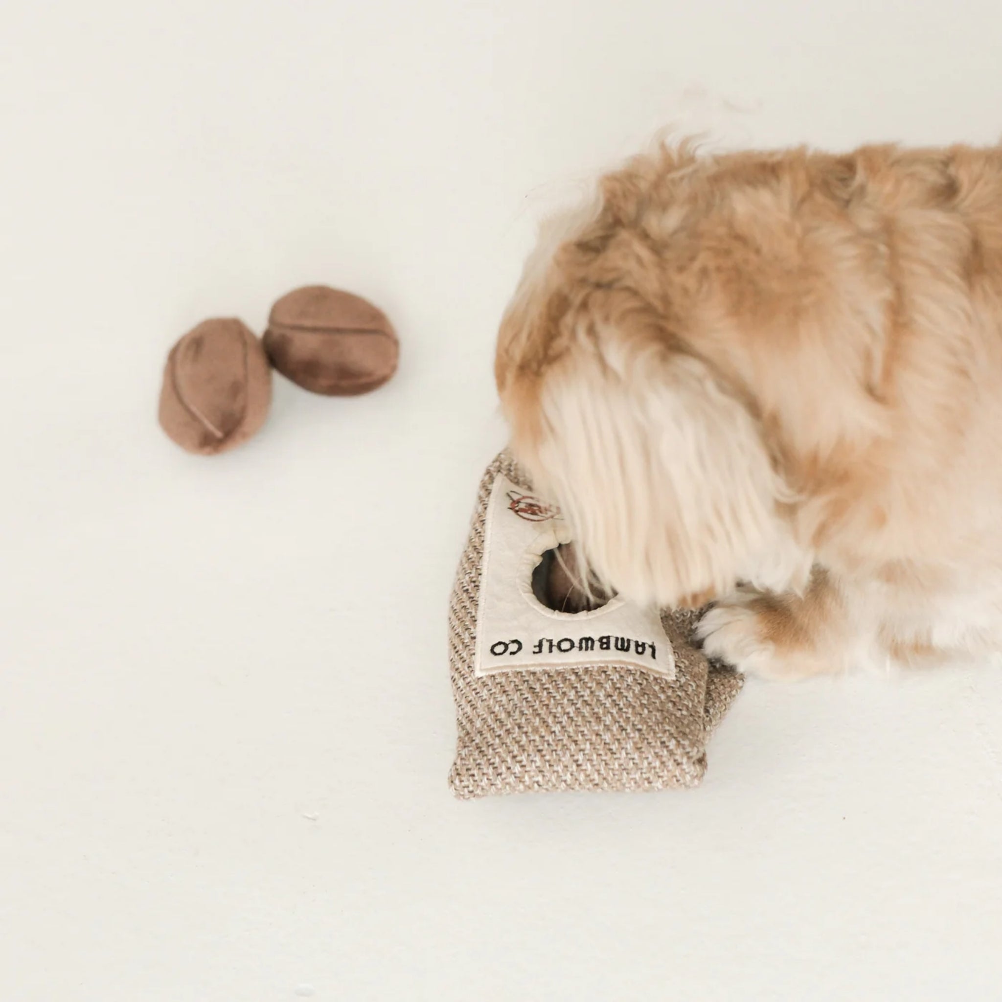 Enrichment Dog Toy - Coffee Beans - Lambwolf Collective - La Maison Mou