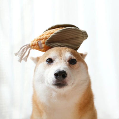Enrichment Dog Toy - Corn