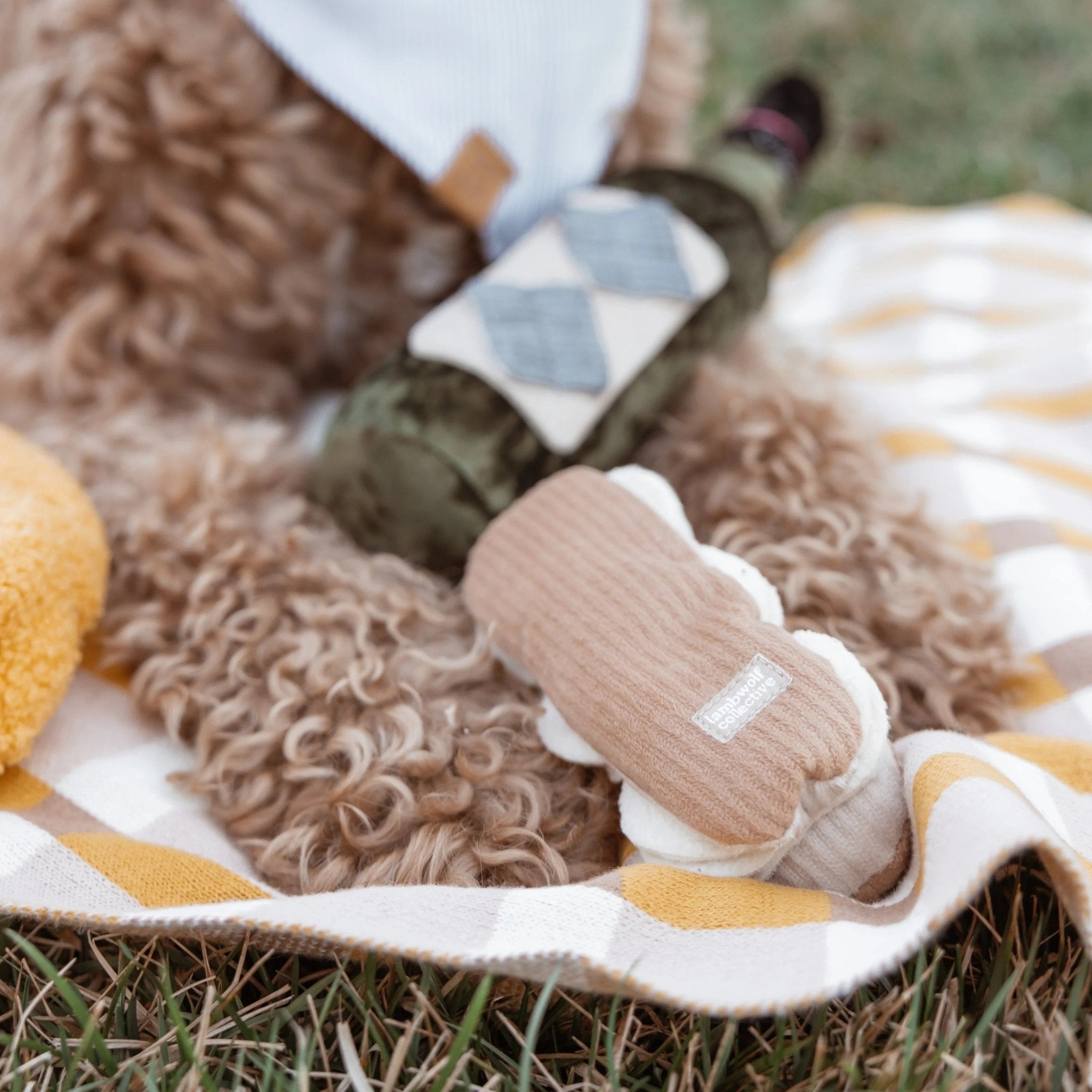 Enrichment Dog Toy - Eclair - Lambwolf Collective - La Maison Mou