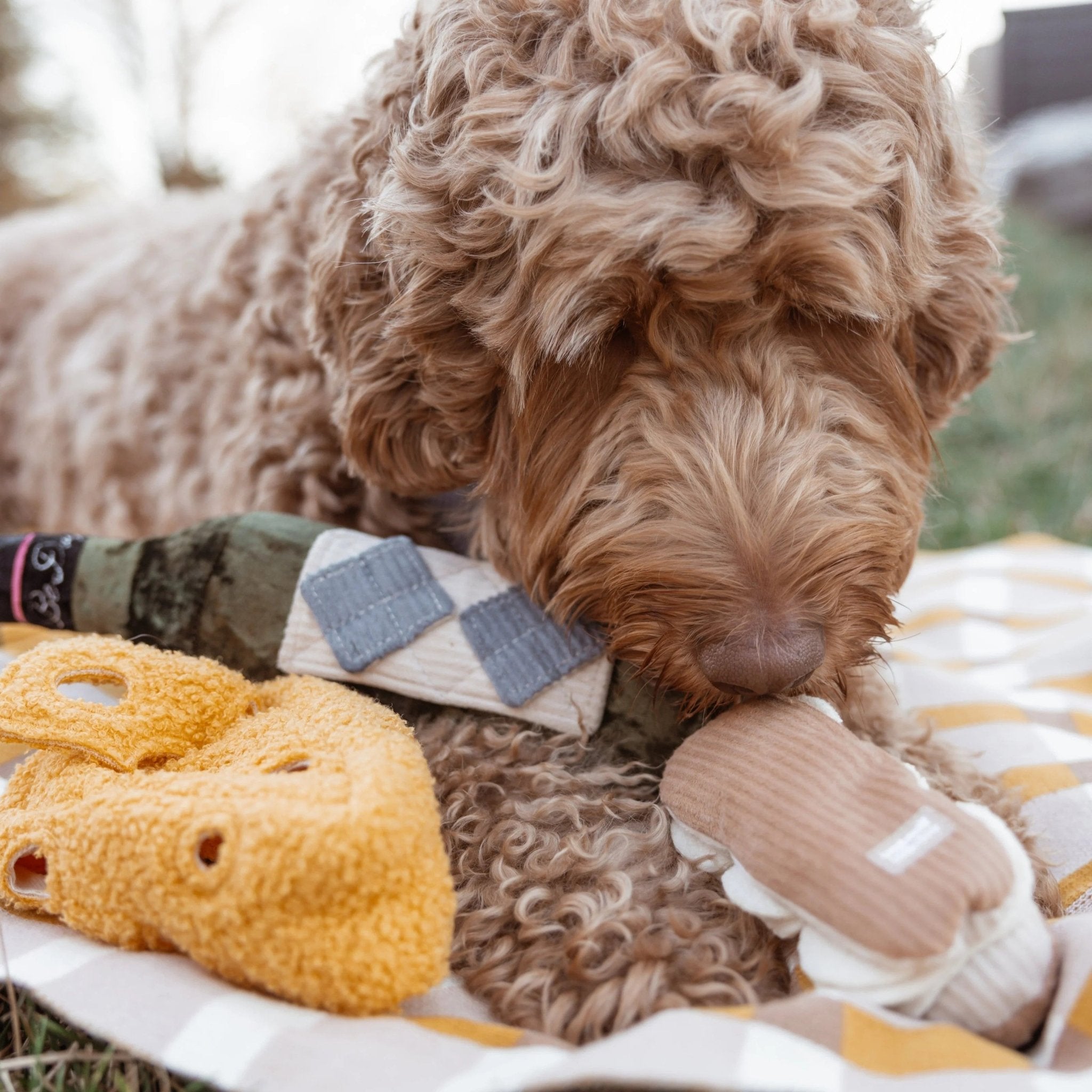 Enrichment Dog Toy - Eclair - Lambwolf Collective - La Maison Mou