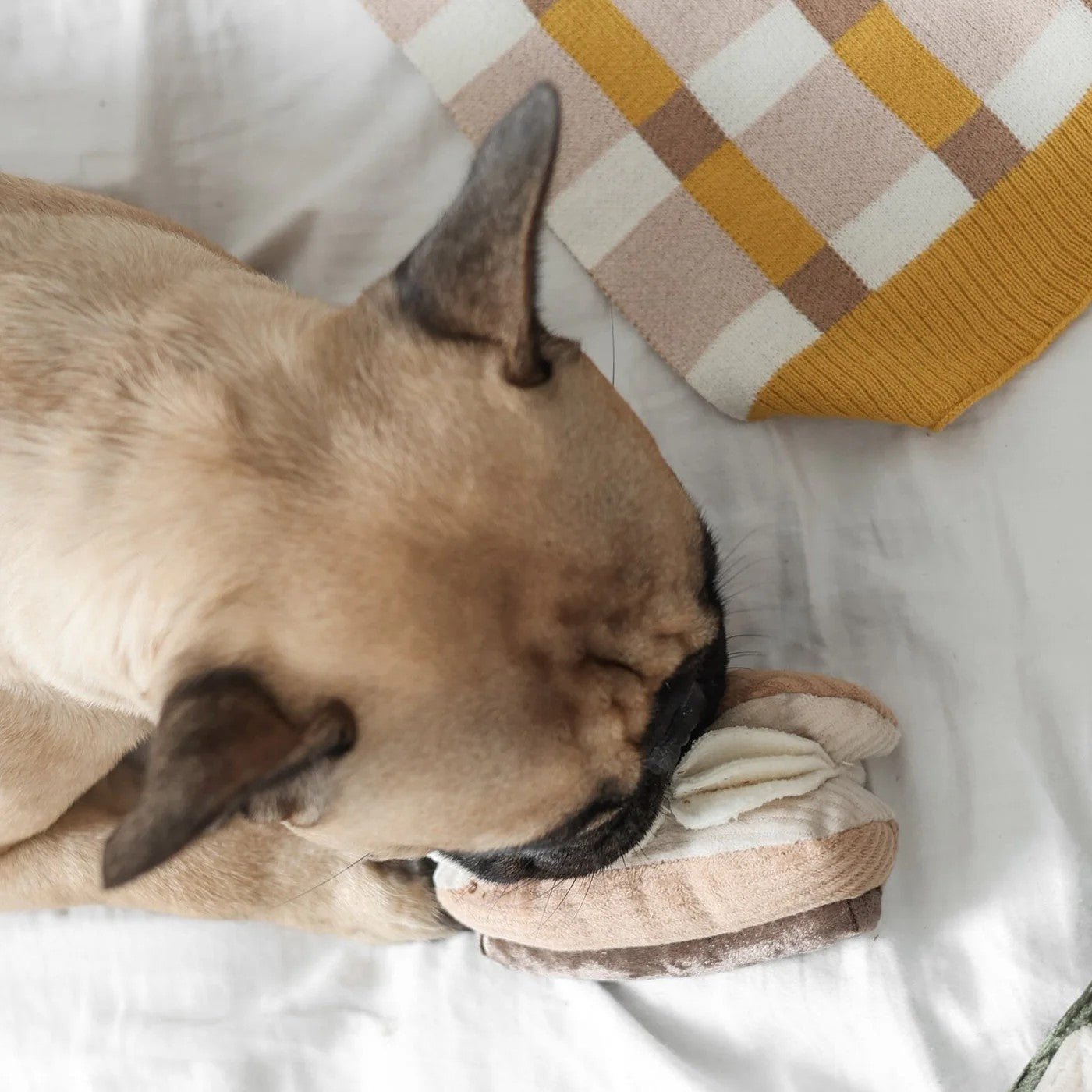Enrichment Dog Toy - Eclair - Lambwolf Collective - La Maison Mou