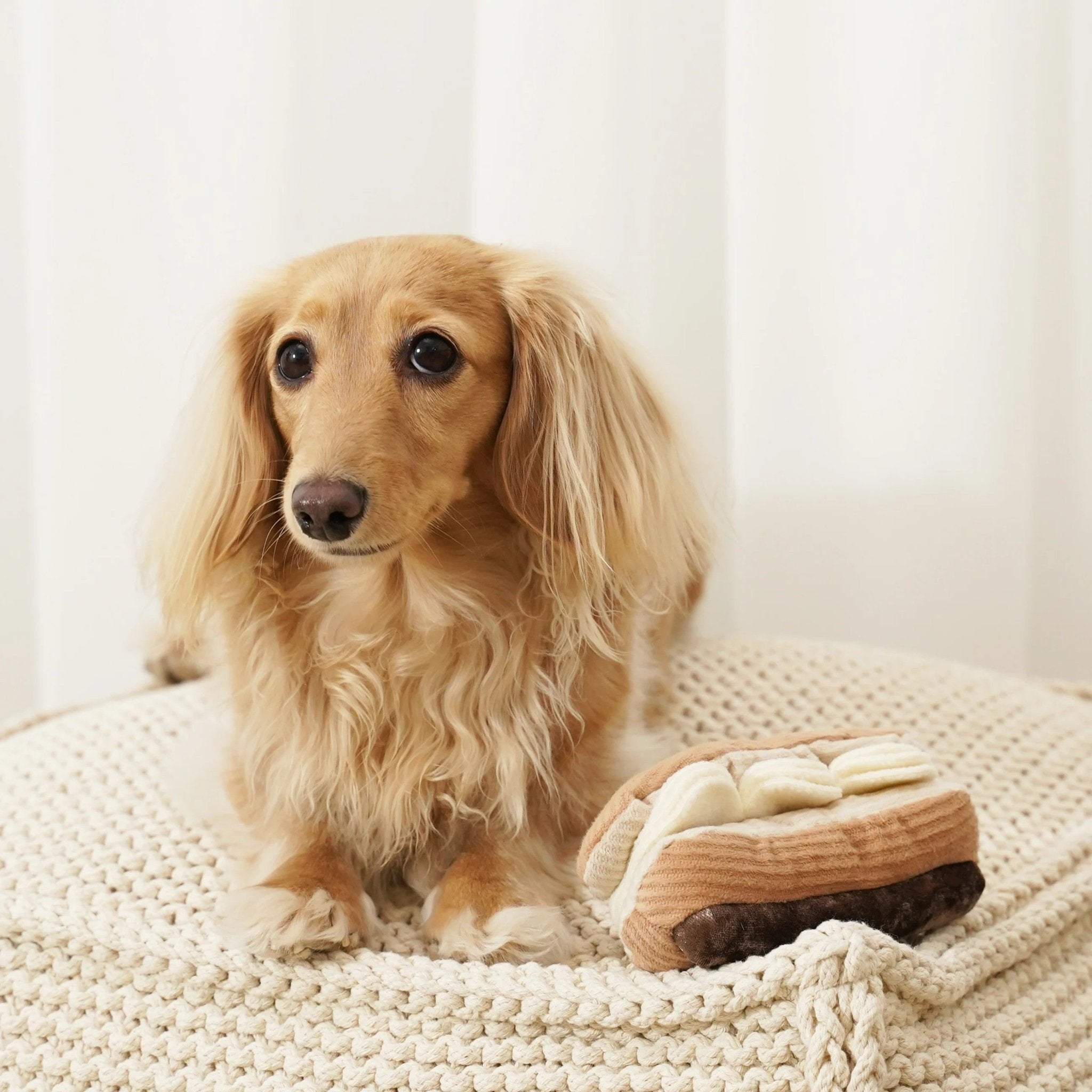 Enrichment Dog Toy - Eclair - Lambwolf Collective - La Maison Mou