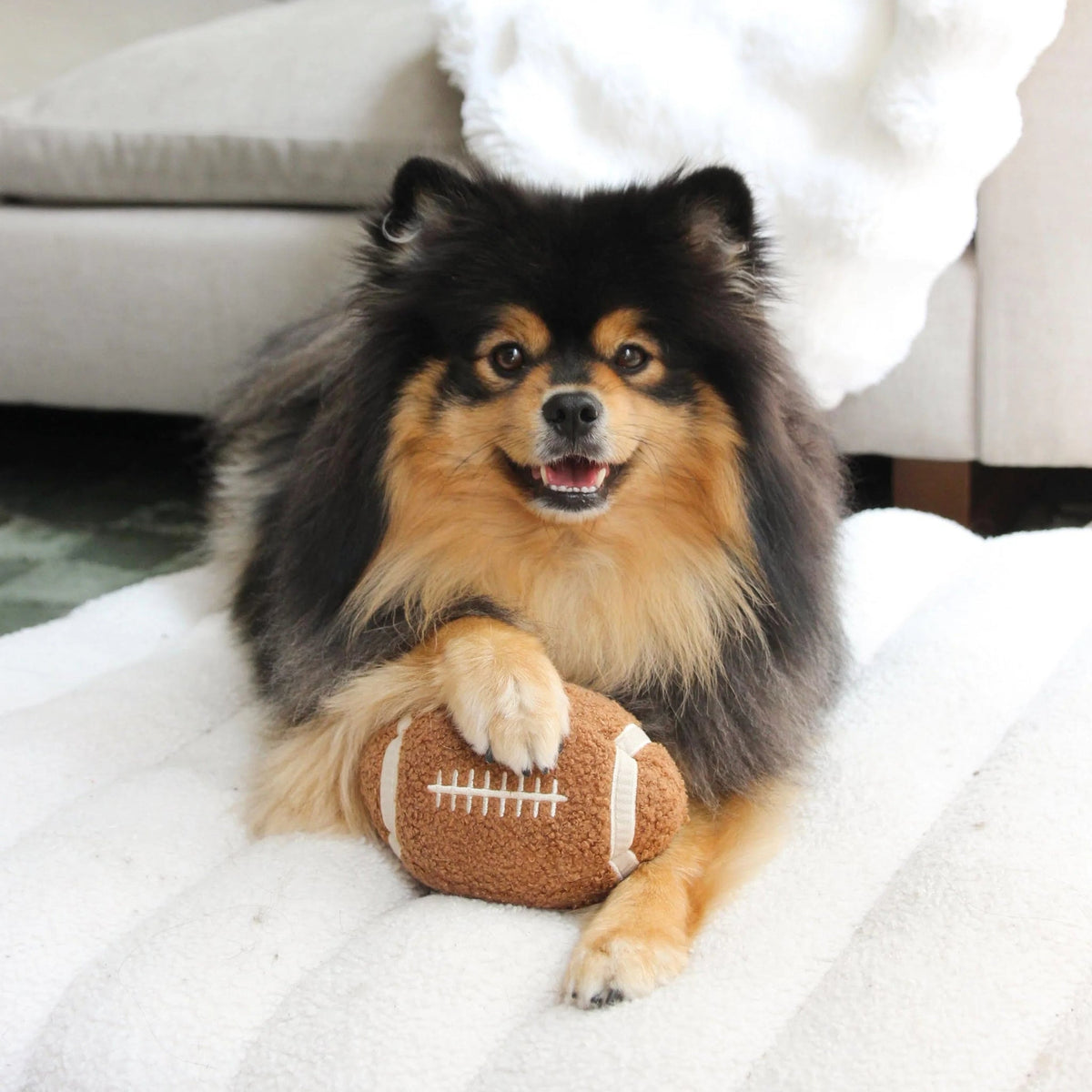 Enrichment Dog Toy - Football - Lambwolf Collective - La Maison Mou