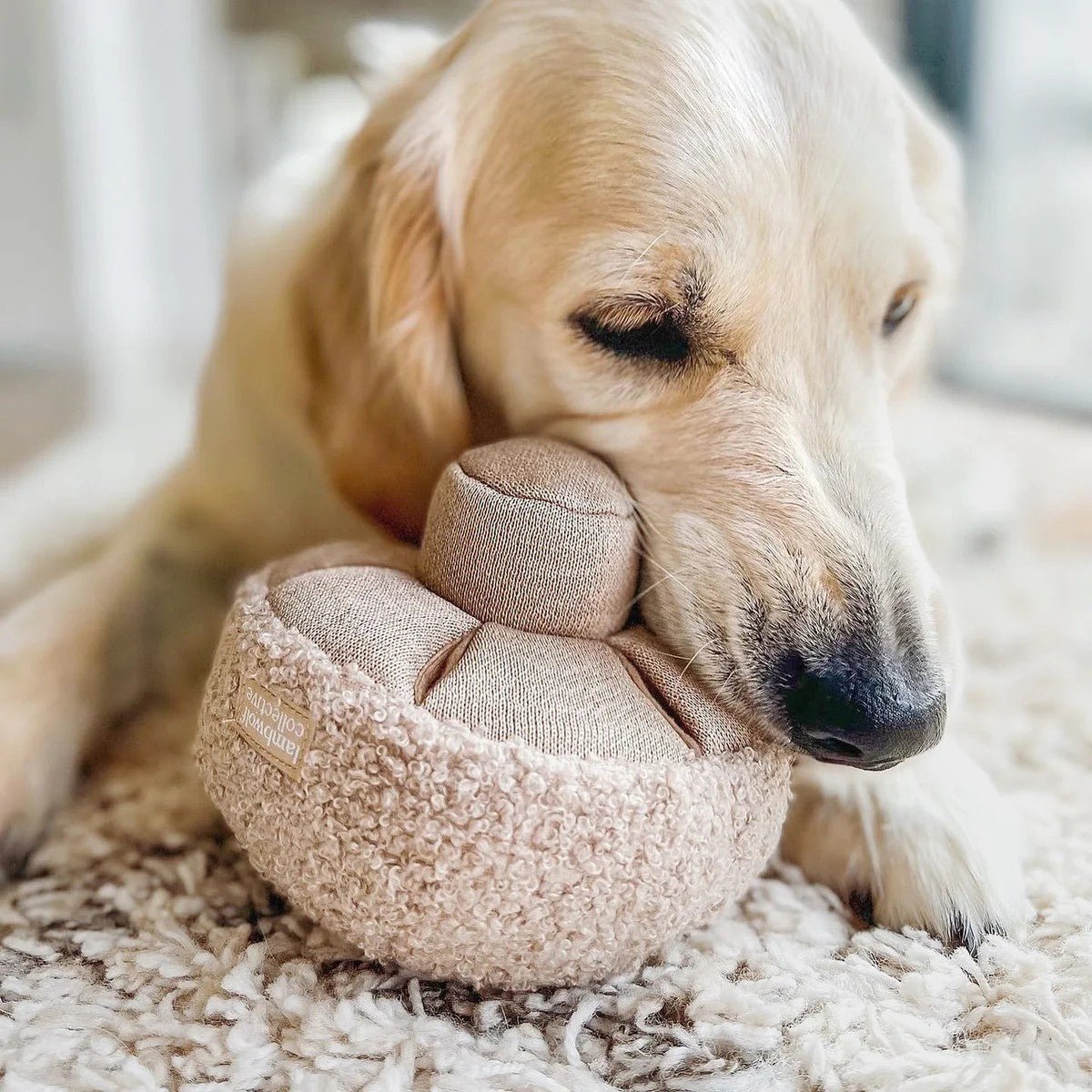Enrichment Dog Toy - Guu Mushroom - Lambwolf Collective - La Maison Mou